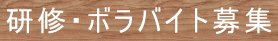 研修・ボラバイト募集